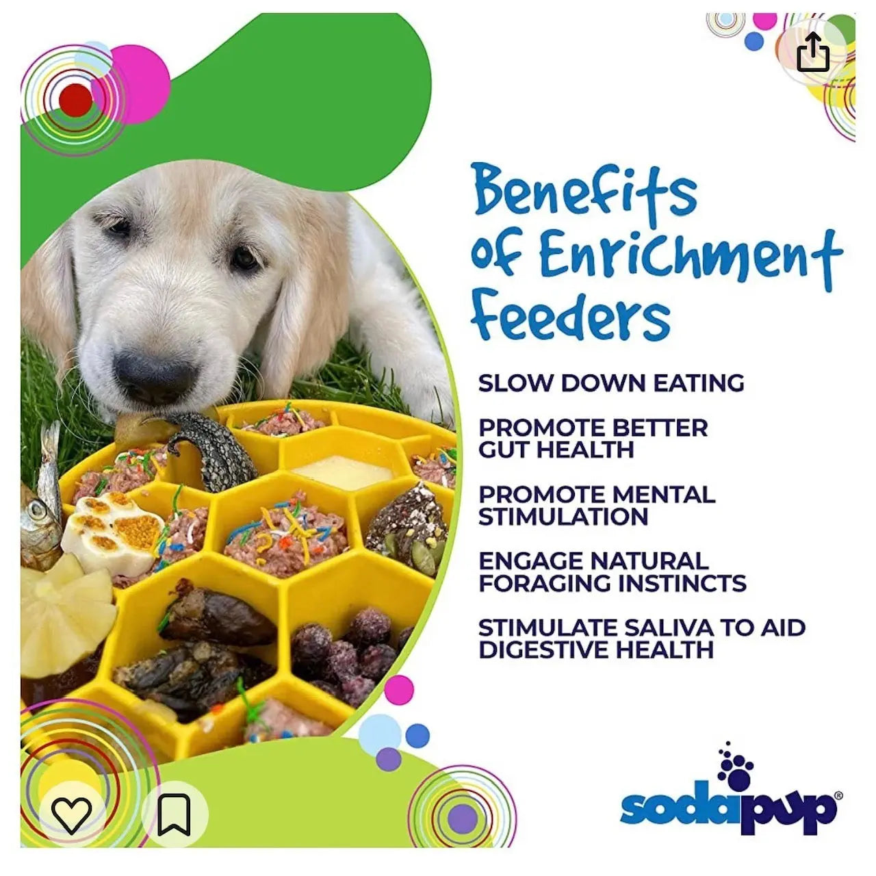 Honeycomb Slow Feeder Dog Bowl - Cosmetic Second - No Packaging - No Returns Feeding