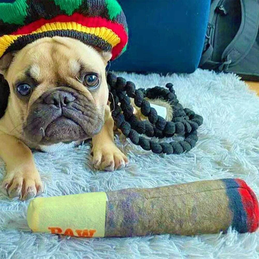 Cigar Plush Dog Toy - Squeaky Chew Toy for Small & Medium Dogs