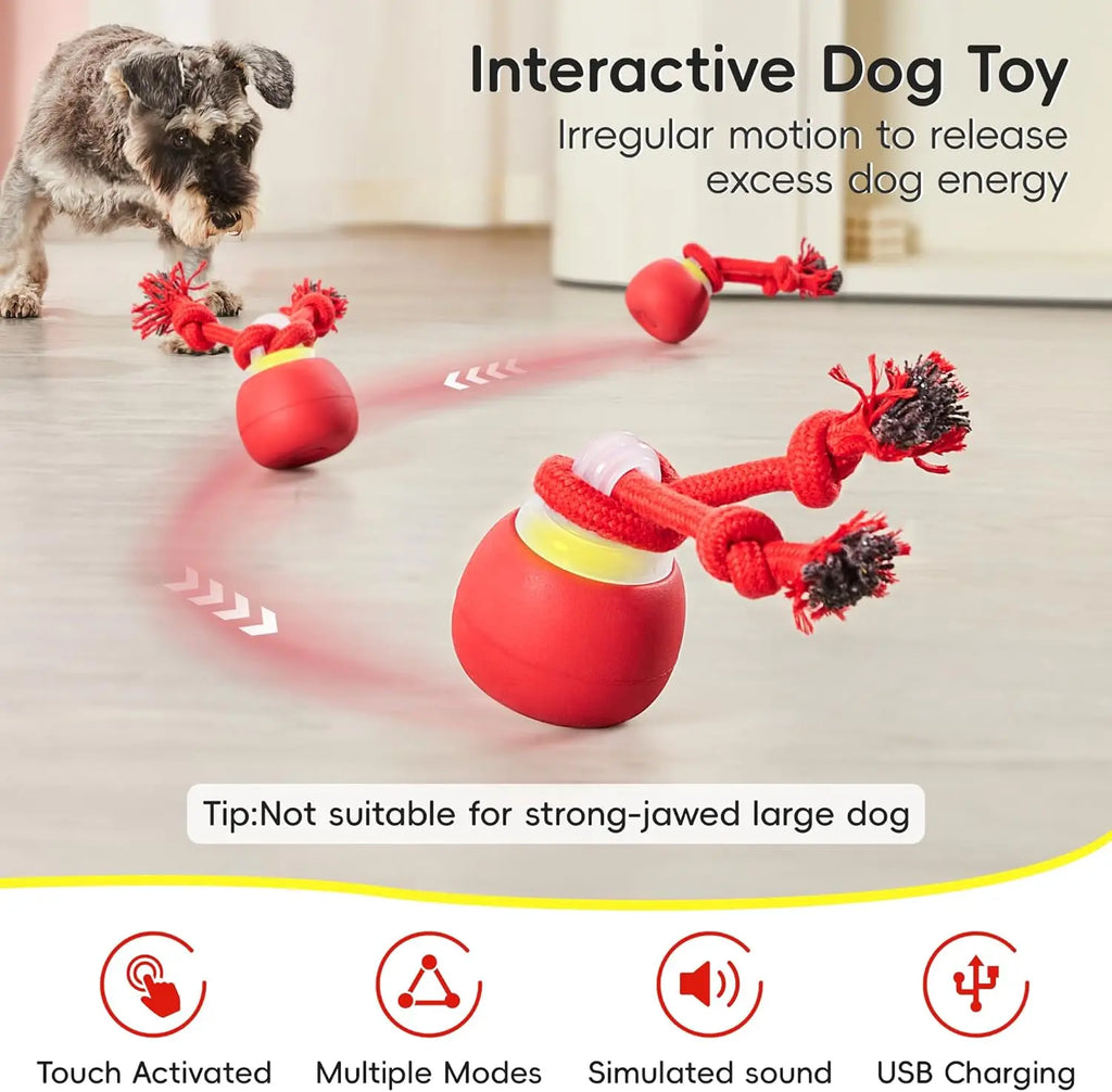 Potaroma Dog Ball Toys Touch Activated, Rechargeable, Squeaky Dog Toy, Interactive Moving Ball for Pup with Rope for Medium Small Dogs Puppy Dark Red,Interactive Training Ball #Summervibes #Petlovers