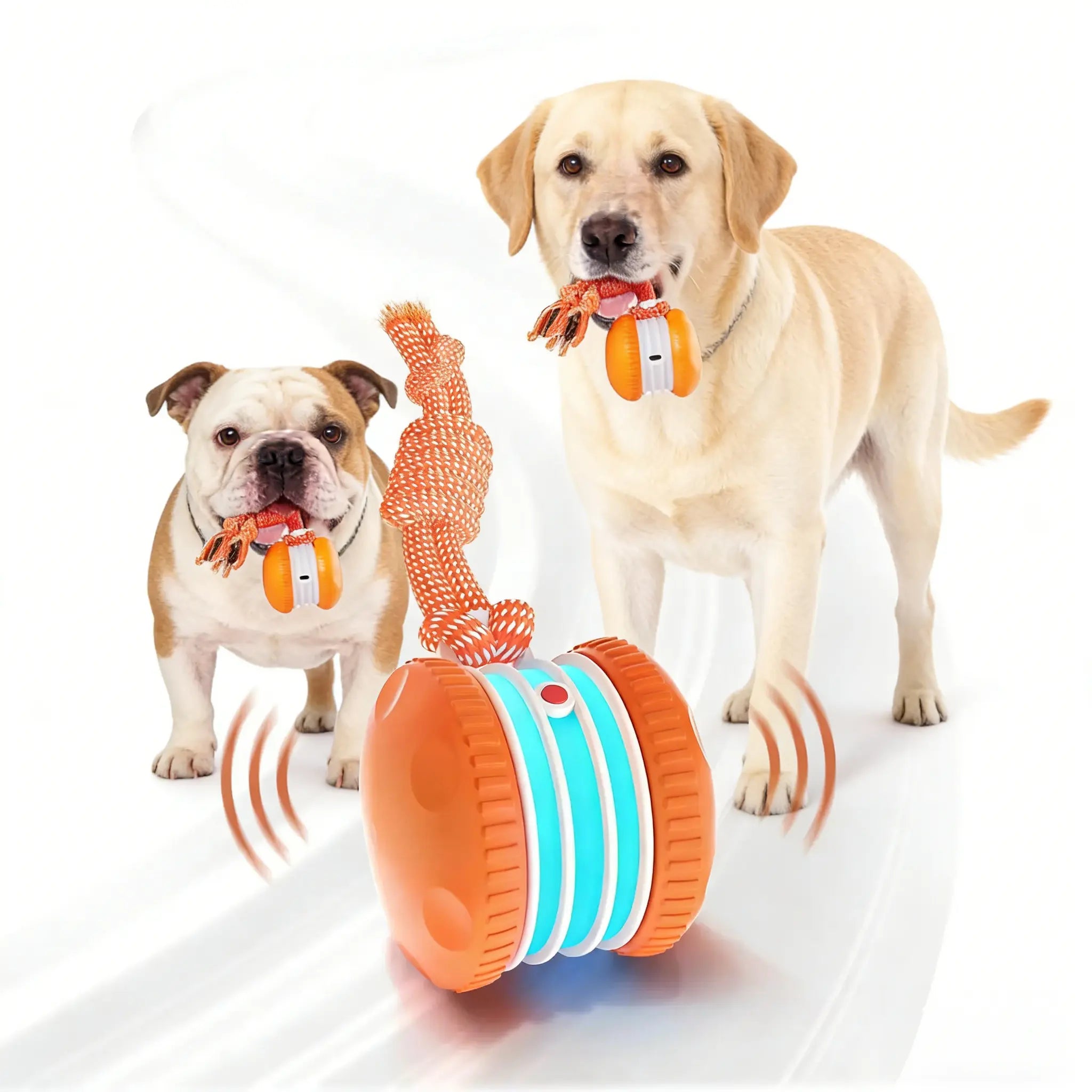 #Summervibes #Petlovers Interactive Ball – Random Moving Electric Toy with Rope for Small, Medium & Large | Fun & Boredom Relief Motion-Activated Dog Stimulation Toy