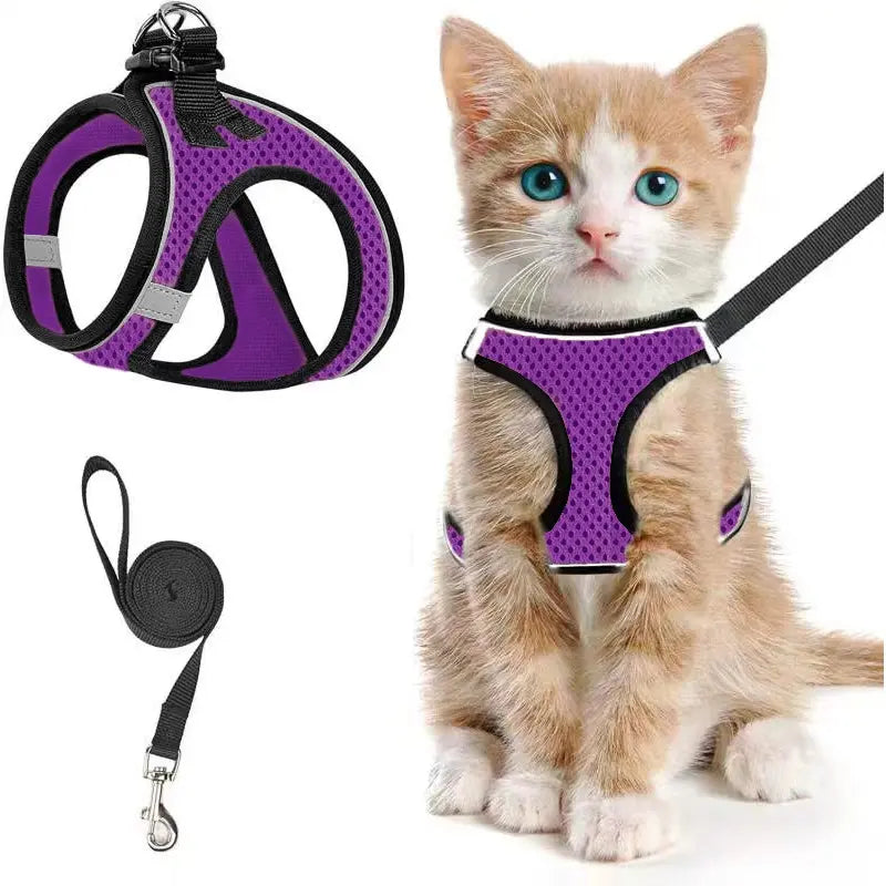 Adjustable Pet Harness & Leash Set, Breathable Mesh Cat Harness with Leash, Pet Supplies for Outdoor Walking