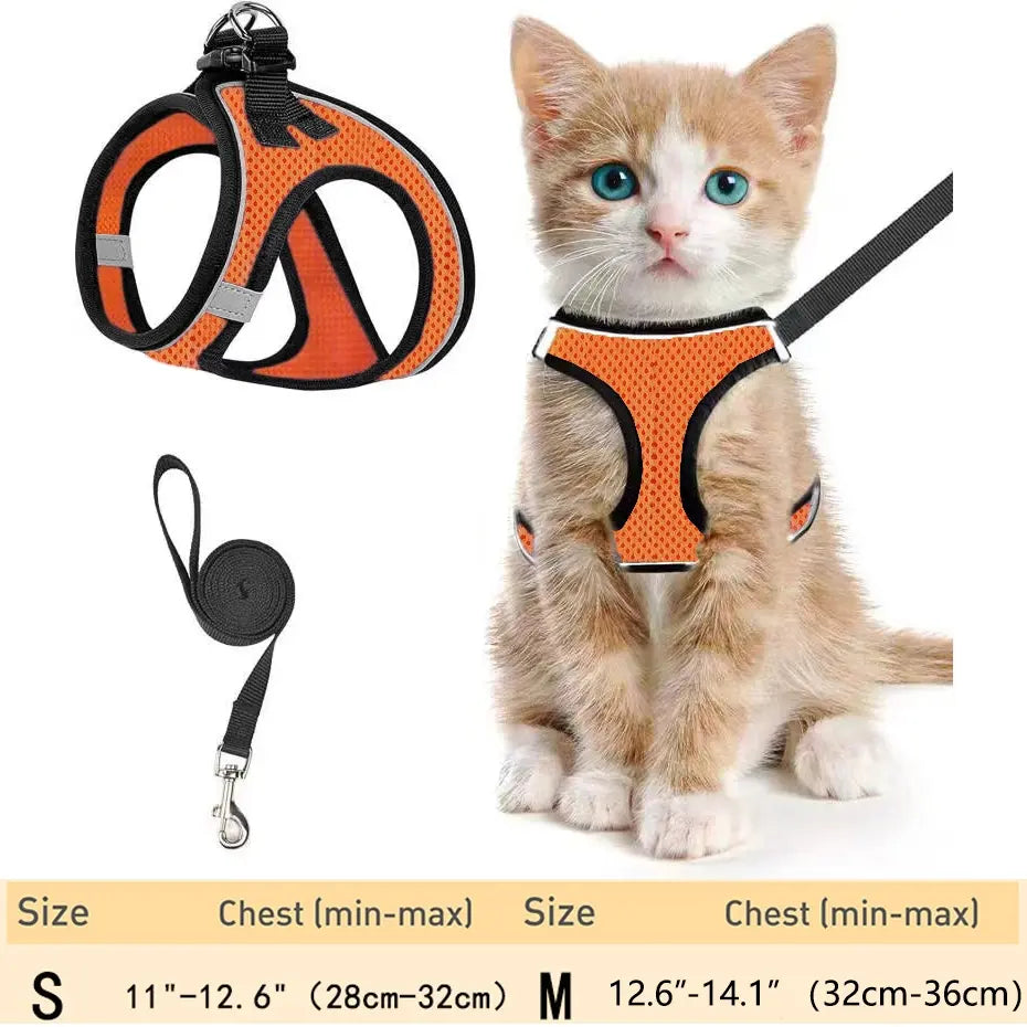Adjustable Pet Harness & Leash Set, Breathable Mesh Cat Harness with Leash, Pet Supplies for Outdoor Walking