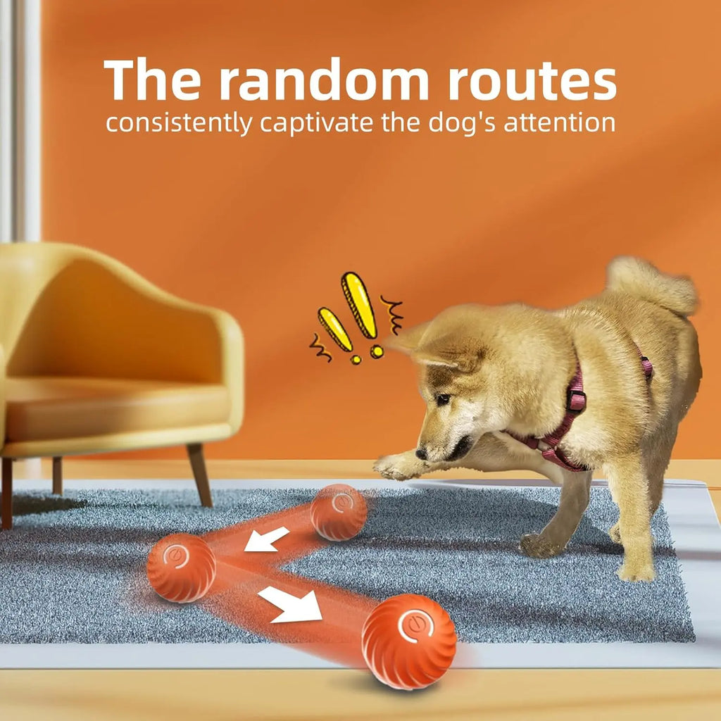 Interactive Dog Dog Balls, 2.7Inmoving Dog Ball, Durable Motion Activated Automatic Rolling Ball , USB Rechargeable Outdoor Pet Toy-Gttq