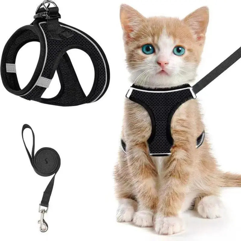 Adjustable Pet Harness & Leash Set, Breathable Mesh Cat Harness with Leash, Pet Supplies for Outdoor Walking