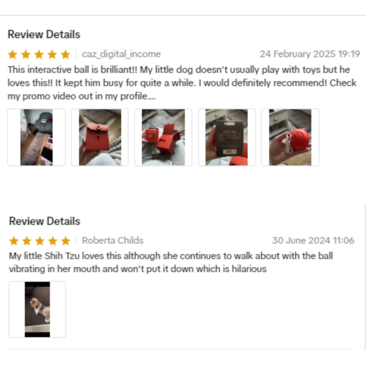 Interactive Dog Dog Balls, 2.7Inmoving Dog Ball, Durable Motion Activated Automatic Rolling Ball , USB Rechargeable Outdoor Pet Toy-Gttq