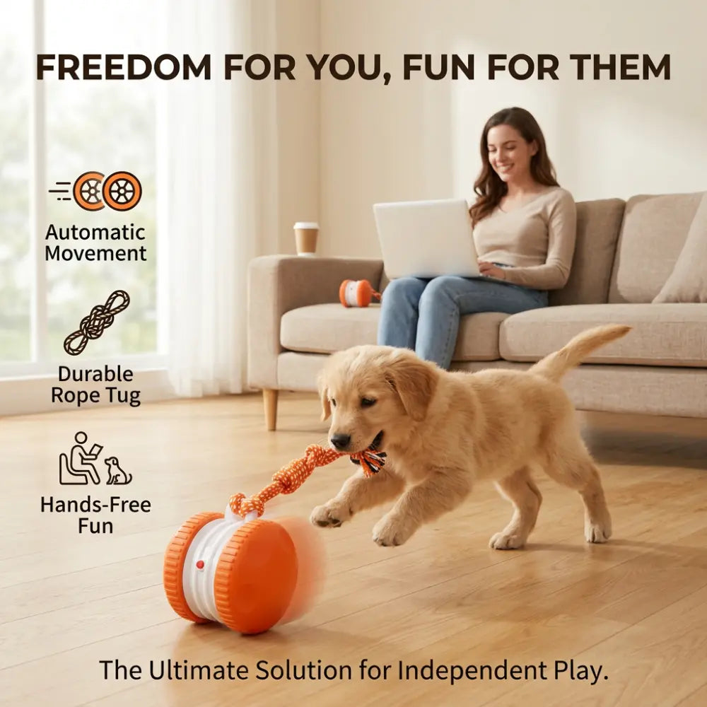 #Summervibes #Petlovers Interactive Ball – Random Moving Electric Toy with Rope for Small, Medium & Large | Fun & Boredom Relief Motion-Activated Dog Stimulation Toy