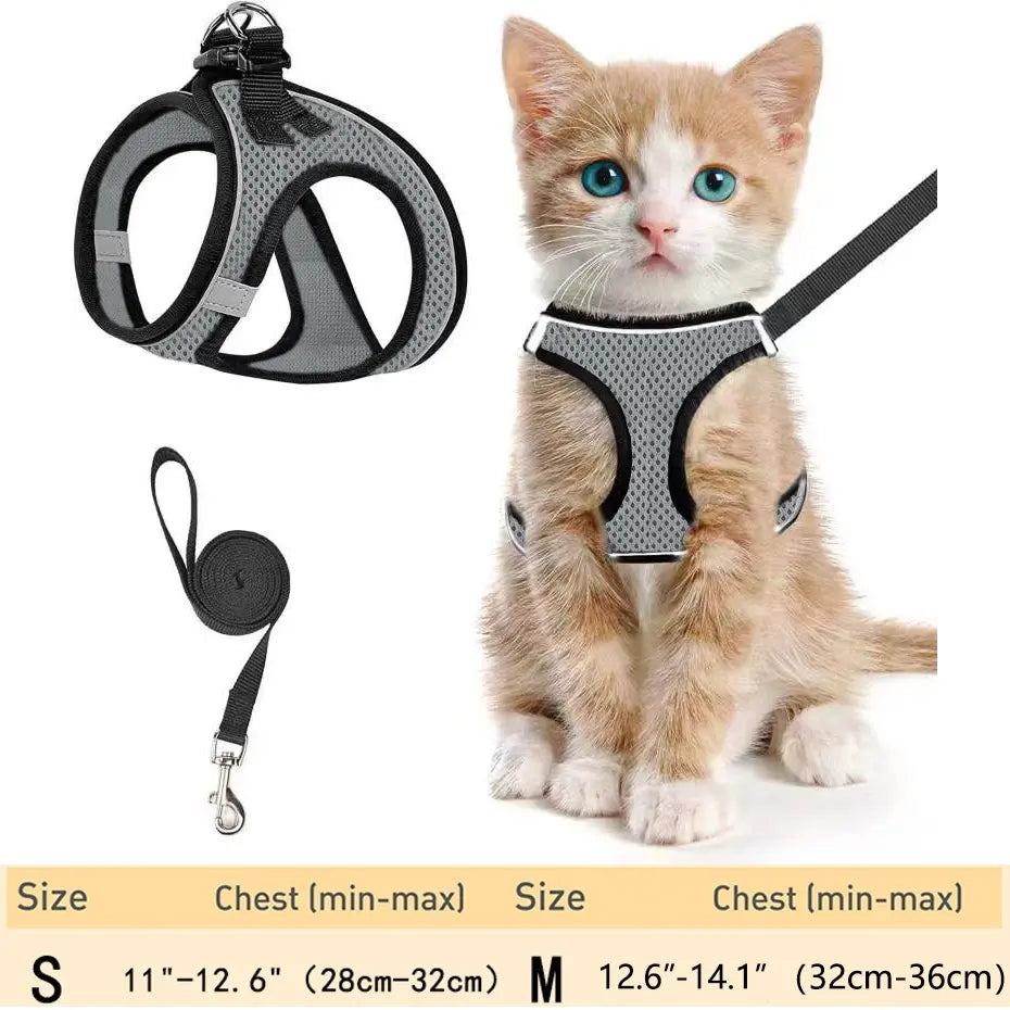 Adjustable Pet Harness & Leash Set, Breathable Mesh Cat Harness with Leash, Pet Supplies for Outdoor Walking