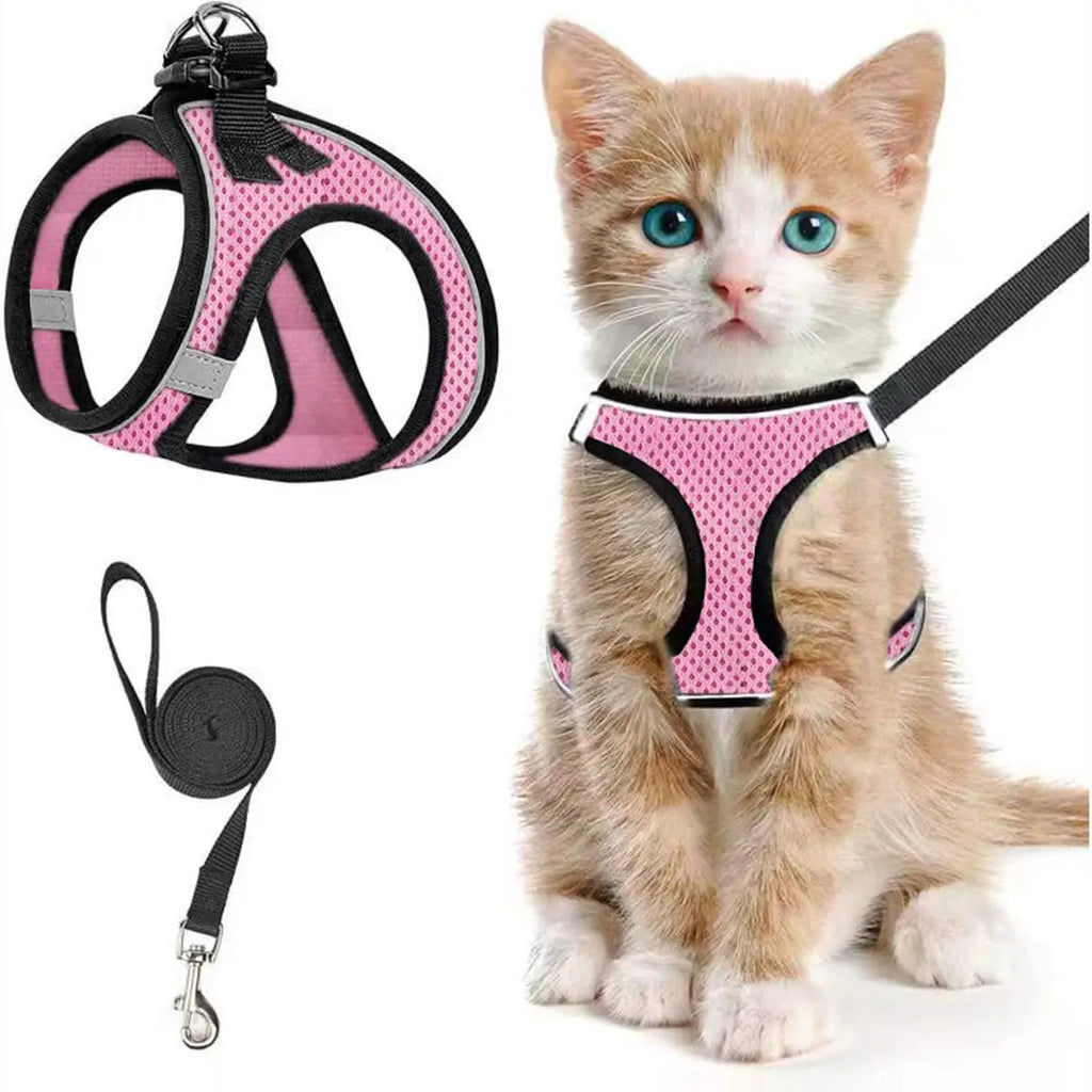 Adjustable Pet Harness & Leash Set, Breathable Mesh Cat Harness with Leash, Pet Supplies for Outdoor Walking