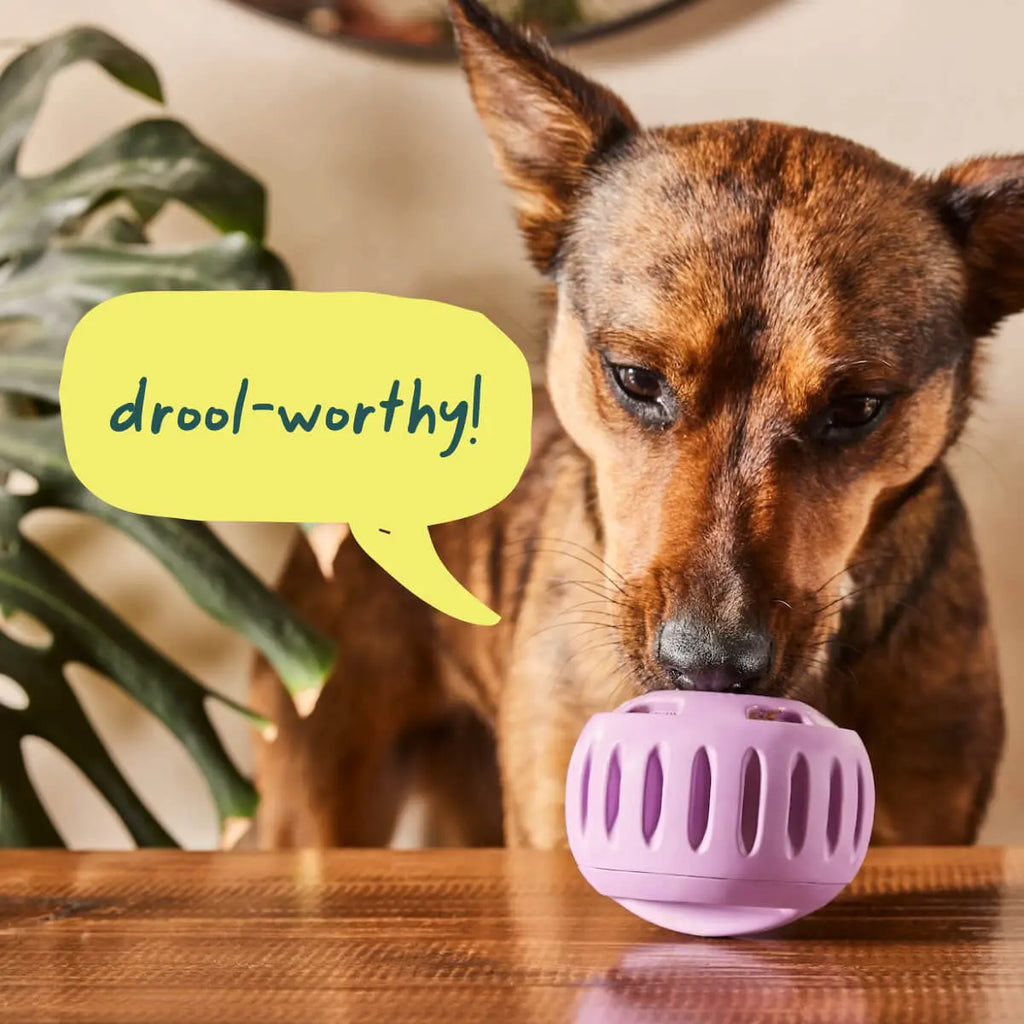 WOOF Pupsicle Interactive Dog Treat Toy, Low-Mess, Refillable, Easy Clean Treat Dispensing Toy to Keep Dogs Busy & Distracted